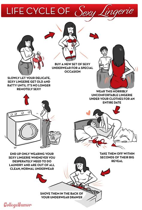 the life cycle of sexy lingerie college humour life cycle comic lingerie nsfw sex