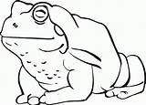 Toad Coloring Pages Printable Clipart Kids Cartoon Toads Cliparts Outline Color American Library Categories sketch template