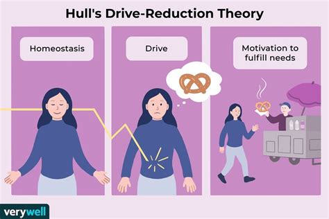 clark hulls drive reduction theory suggests  human motivation