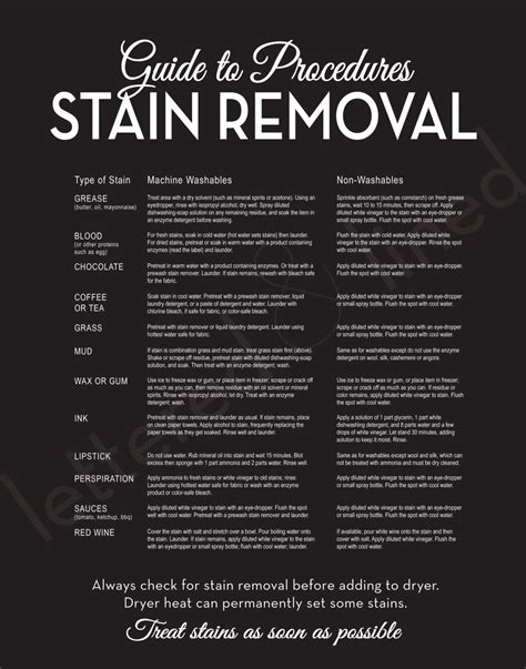 set  laundry  stain removal modern guide procedures room