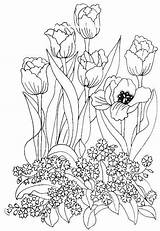 Colorat Flori Planse Primavara Coloriage Tulipe Lalele Coloriages Scrigroup Patterns Primăvară Asemanatoare Relatate Articole Interferente sketch template
