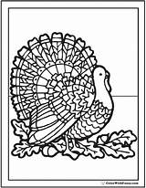 Thanksgiving Coloring Pages Adults Fuzzy Turkey Color Printable Pdf Cute Acorns Print Leaves Favorite Birthday Rainbow Colorwithfuzzy Turkeys Oak Getcolorings sketch template