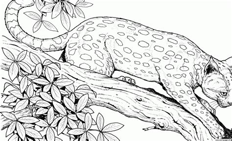 hard animal coloring pages coloring pages