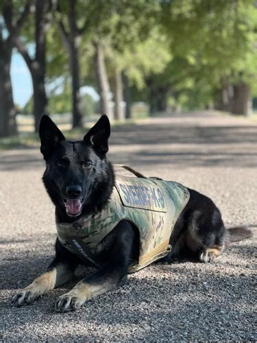 Scotts Bluff County Sheriffs Office K9 Receives Donation Of Body Armor
