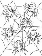 Coloring Halloween Spider Pages Printable Print Kids Color Getcolorings Spiders Animal Getdrawings Colorings sketch template