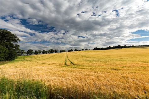 farmland values fall  uk    levels propertywire