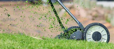 grass clippings  turfgrass group