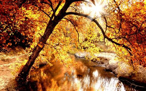 zlota jesien rzeka