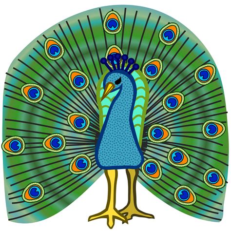 peacock clip art clipart best