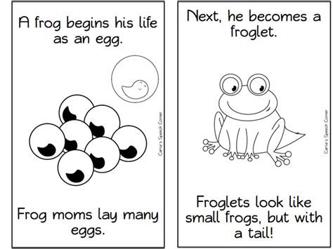 frog life cycle resources  printables teach junkie