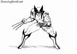 Wolverine Draw Drawing Comic Drawingforall Comics Marvel Men Paint Drawn Drawings Cartoon Character Book Step Shadows Hatching Fine Then Them sketch template