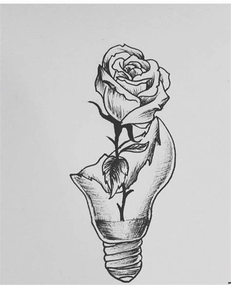 bulb rose drawing pencil art drawings space drawings drawings