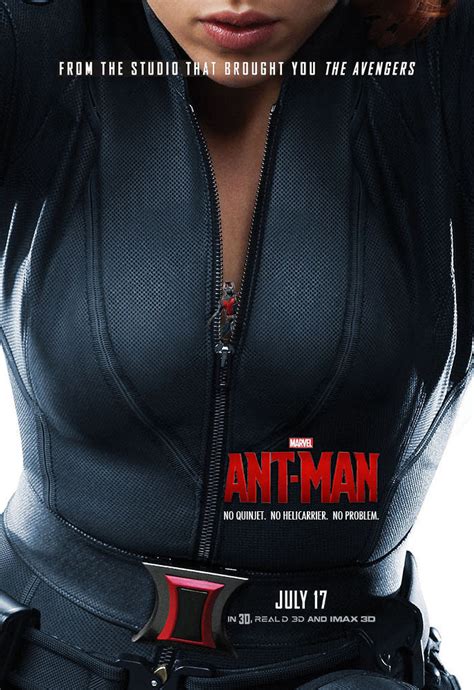 this cannot continue the ant man poster featuring ant
