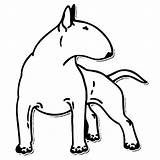 Bull Terrier Drawing English Getdrawings sketch template