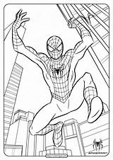 Spiderman Coloring Avengers sketch template