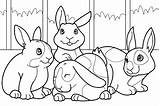 Conejos Conejo Dibujo sketch template