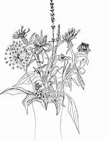 Wilted Drawing sketch template