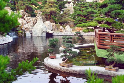 chinese pond  forestgirlstock  deviantart