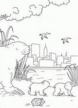 Coloring Bear Polar Pages Little Coloringpages1001 sketch template
