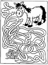 Doolhof Labyrinthe Horse Labyrinth Maze Cavallo Caballo Laberinto Labirinto Tiere Pferd Animali Affamato Molto Doolhoven Langoor Cambiare Potete Sara Browser sketch template