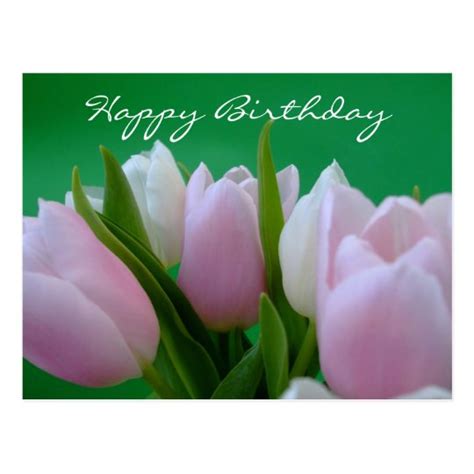 happy birthday tulips postcard zazzlecom