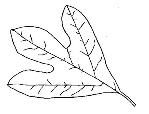 fall leaf coloring page kids play color leaf coloring page shape
