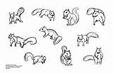 Squirrel Drawing Gesture Coroflot Lindo David Gestures sketch template