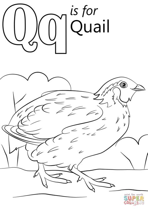 letter    quail super coloring abc coloring pages alphabet