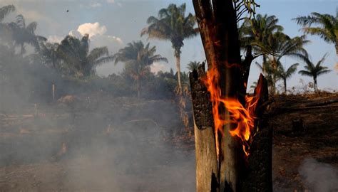 amazon rainforest fires bolsonaro accuses upset ngos  burning   newshub