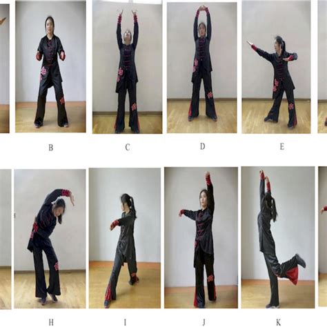 twelve forms  integrated qigong exercise  form  xu exercise