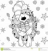 Egel Kerstmis Getrokken Krabbel Giftdoos Regalo Istrice Disegnato Scarabocchio Contenitore Gezeichnetes Igeles Geschenkbox sketch template