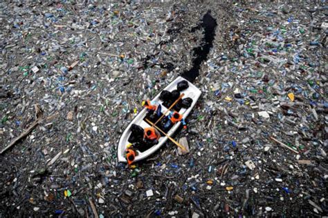 great pacific garbage patch  garbage patch means  trash