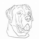 Rottweiler Coloring Pages Drawings Surfnetkids Designlooter 89kb 200px sketch template
