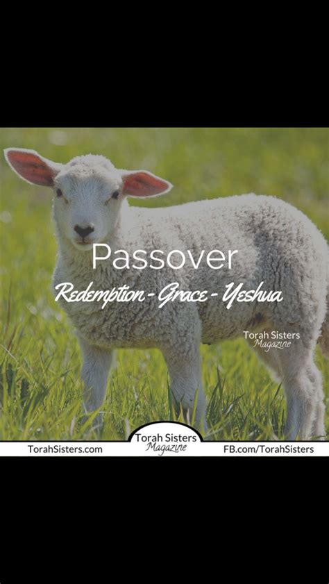 pin by patti iammarino on passover sisters magazine
