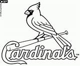 Cardinals Printable Oncoloring Colorare Loghi Missouri Dodgers Yankees sketch template