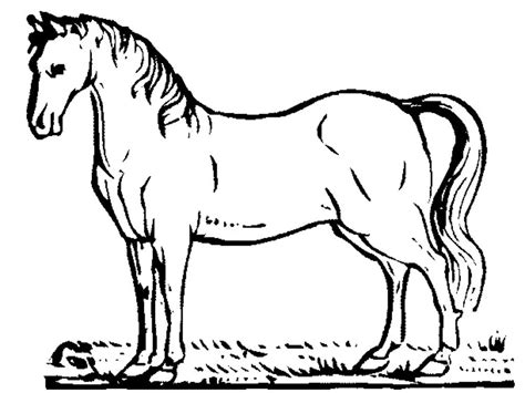 princess horse coloring pages printable