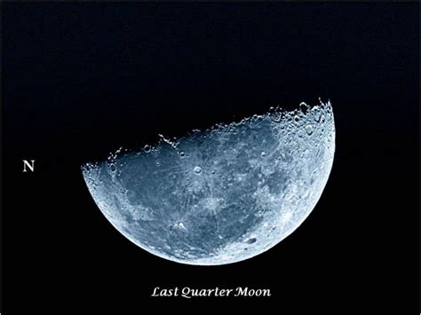 quarter moon
