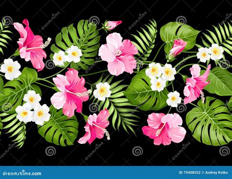 tripical flowers elements stock vector illustration  background