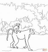 Baboon Coloring Pages Baby Drawing Back Mandrill Drawings Rides Mothers Printable 61kb 1200 sketch template