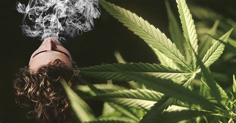 7 surprising health benefits that come from weed smoking metro news