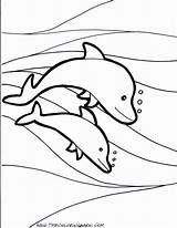 Dolphins Whales sketch template