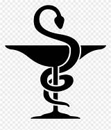 Pharmacy Clipart Symbol Symbols Clipground Pinclipart sketch template