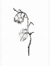 Wilted Wilting Remembrance sketch template