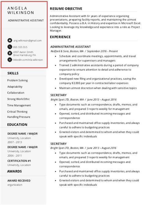 resume header  professional examples