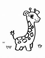 Giraffe Coloring Pages Kids Printable Cartoon Baby Cute Outline Drawings Para sketch template