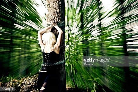 Tied To Tree Photos Et Images De Collection Getty Images