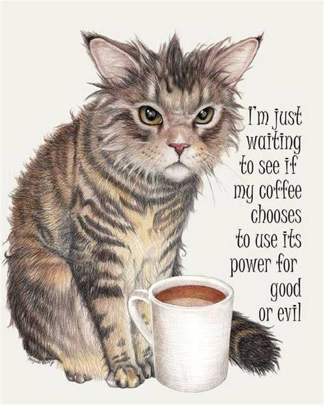 coffee humor  start  day  funny images quotes  memes