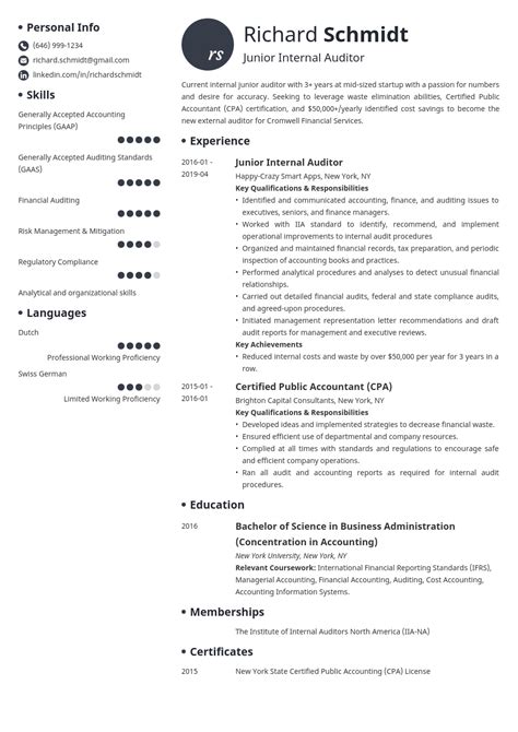 sample cv  internal auditor internal auditor resume samples