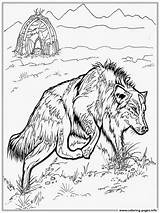 Colouring Wolves Wolfs Everfreecoloring Zentangle Roxanne Getdrawings sketch template
