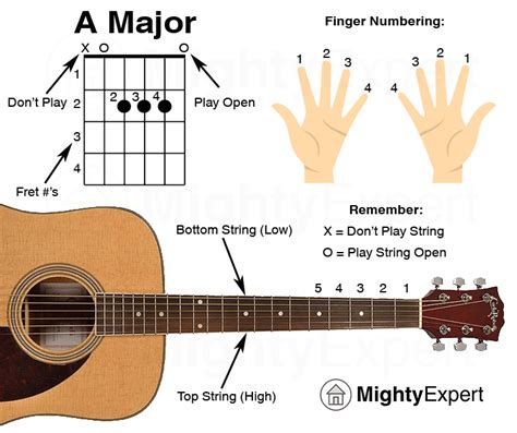 easy guitar songs  major chord guide graphic mightyexpert guitar songs  beginners